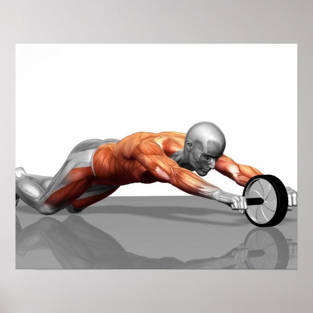 Poster Ab Wheel (Devant)