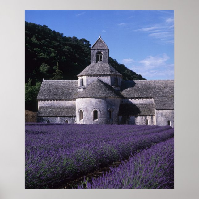 Poster Abbaye de Senanque, Gordes, Vaucluse, Provence, 2 (Devant)