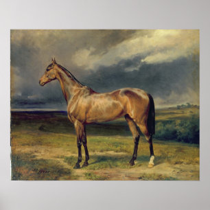 Poster Abdul Medschid le cheval arabe de châtaigne, 1855