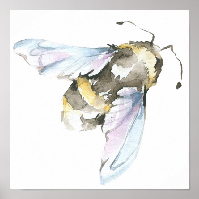 Poster Abeille aquarelle (Devant)