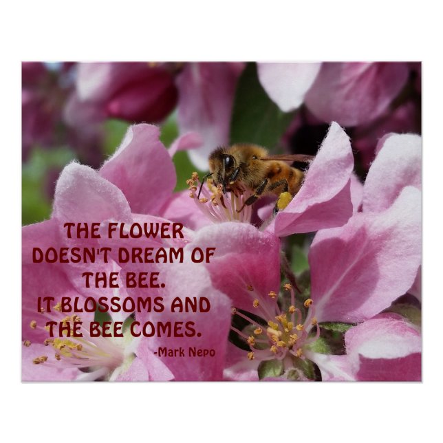 Poster Abeille de miel en fleurs avec citation (Devant)