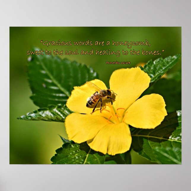 Poster Abeille de miel sur la fleur, Proverbes 16:24 (Devant)