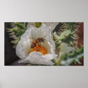 Poster abeille endormie