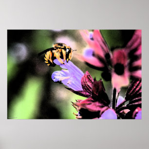 Poster Abeille et fleurs wapcn