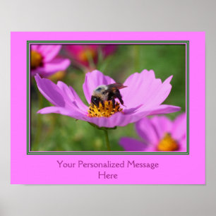 Poster Abeille Sur Fleur Cosmos Rose Créez Votre Propre