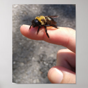 Poster Abeille sur le doigt