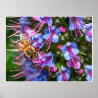 Abeille Très Occupée