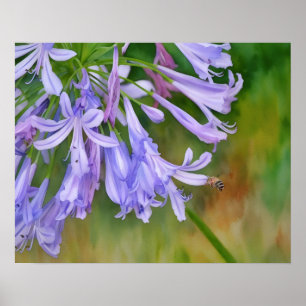 Poster Abeille volant vers des fleurs Lily violettes Styl