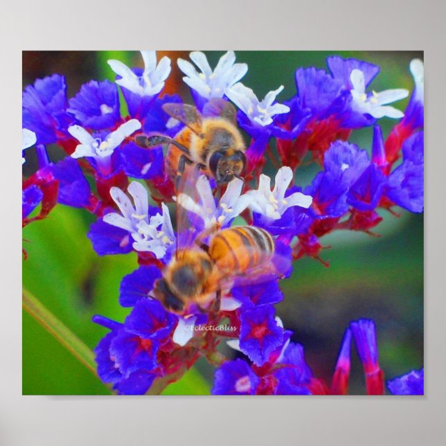 Poster Abeilles, amour et lisses (Devant)