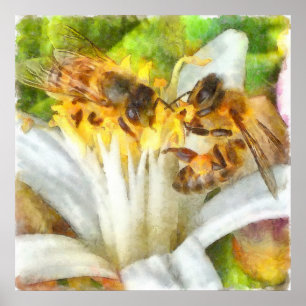 Poster Abeilles De Miel Sur L'Aquarelle De Fleur De Citro