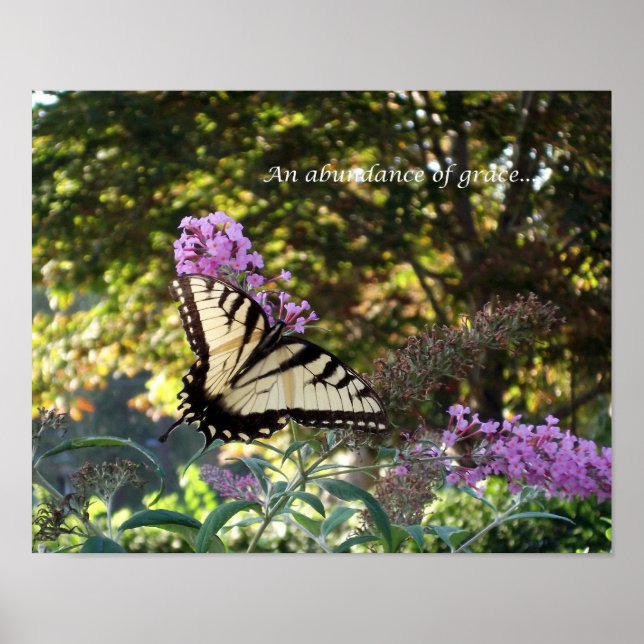 Poster Abondance de grâce (Devant)