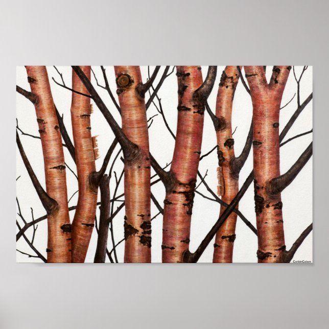 Poster abonné rojos (Devant)