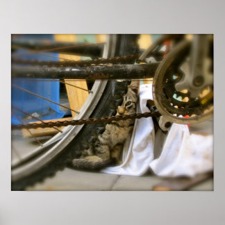 Poster Abri à bicyclette 2