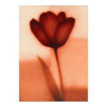 Abstraction Florale Japonaise Tulipe Rouge