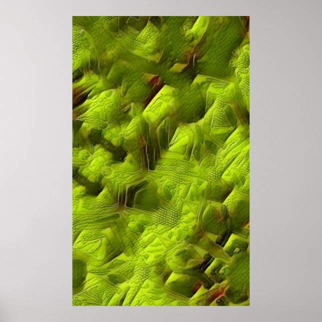Poster Abstrait à peau de lézard (Devant)