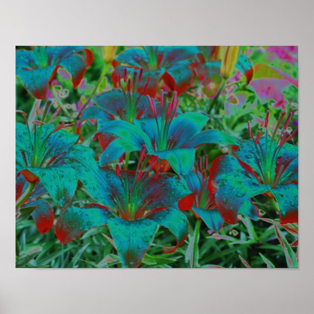 Poster Abstrait Blue Daylilies Raindrops Flower (Devant)