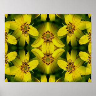 Poster Abstrait de tournesol Maximillian