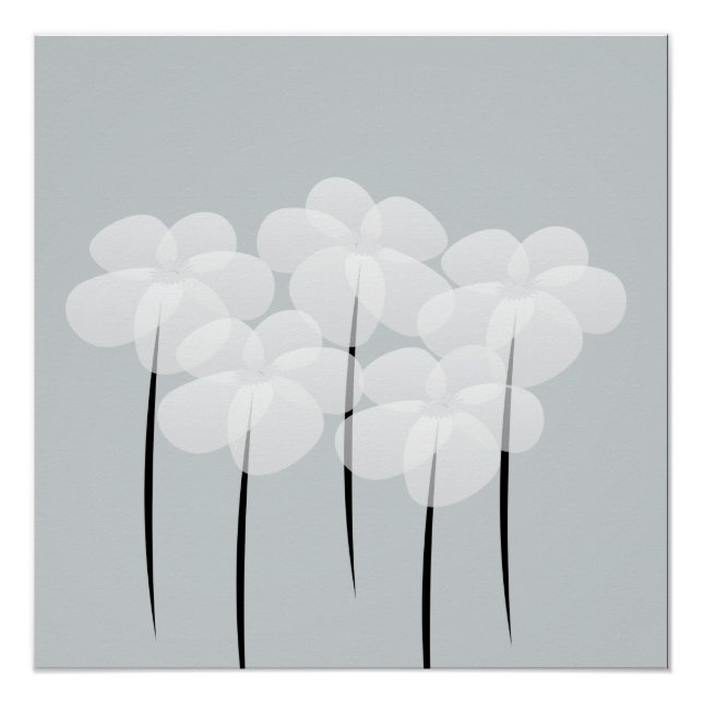 Poster Abstrait des anémones blancs (Devant)