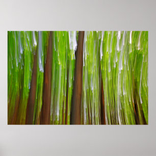 Poster Abstrait Maple Grove