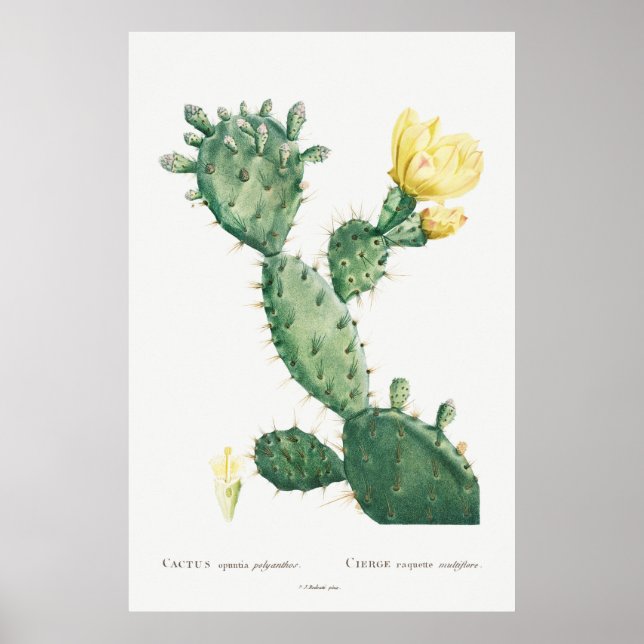 Poster Accent Tropical Cactus Jaune Vintage Floral (Devant)