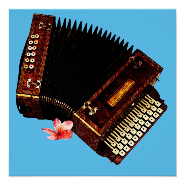 Poster Accordion et Plumeria - Instrument de musique (Devant)