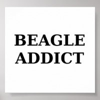 accro beagle