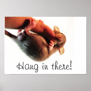 Poster Accrochez-vous à There Rat