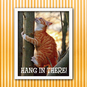 Poster Accrochez-vous au chat