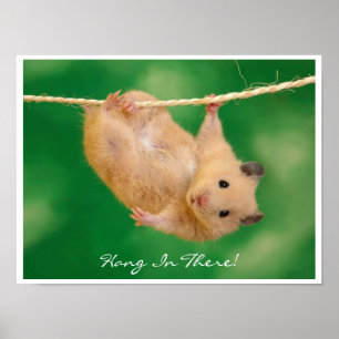 Poster Accrochez-vous au hamster du There