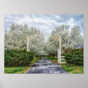 Poster Accueil du lecteur Spring