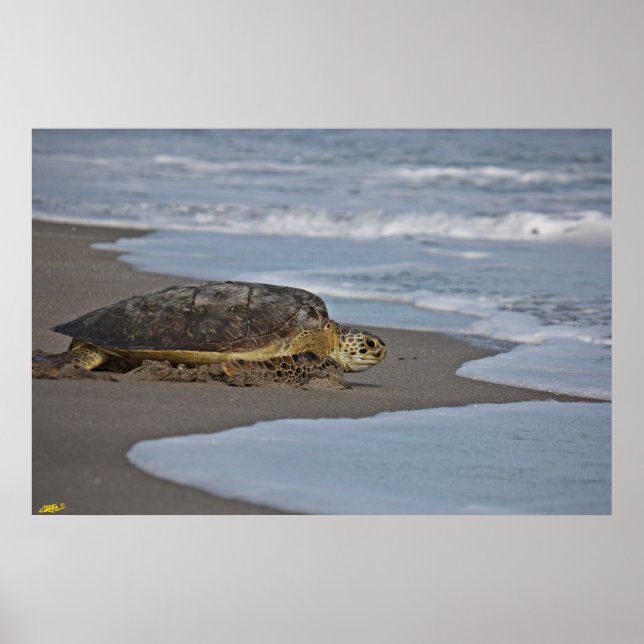 Poster Accueil II (Devant)