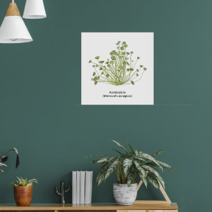 Poster Acetabularia (Wineglass de sirène)