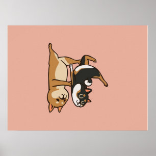 Poster Acroyoga Shiba Inu Amateurs de yoga Shiba Inu