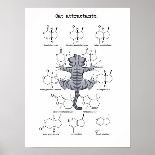 Poster Acteur de chat (Devant)