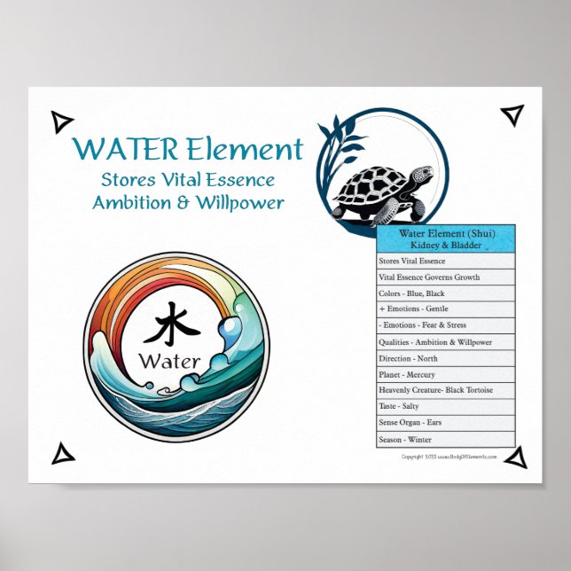 Poster Acupuncture de l'élément Eau (Devant)