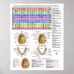 Poster Acupuncture Dentaire Dents Méridiens