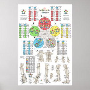 Poster Acupuncture des Cinq Éléments Française