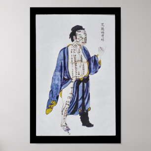 Poster Acupuncture Estomac Méridien Pied Yangming