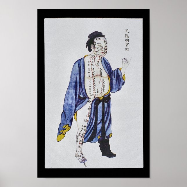 Poster Acupuncture Estomac Méridien Pied Yangming (Devant)