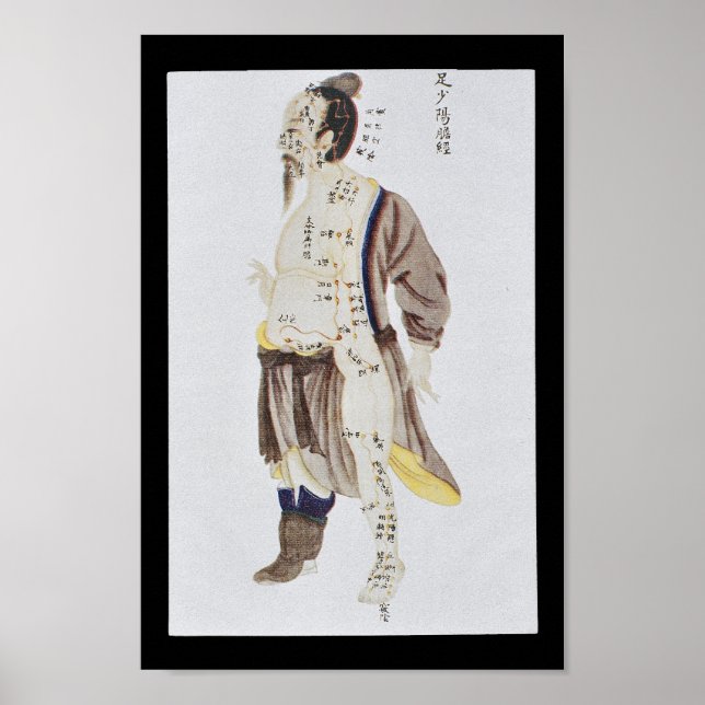 Poster Acupuncture Galerie Vessie Méridien Pied Shaoyang (Devant)