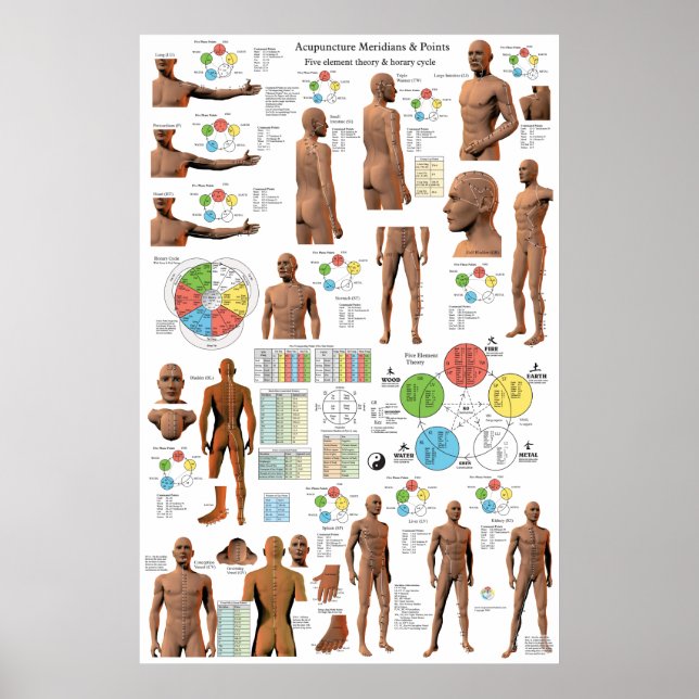 Poster Acupuncture Meridian Points and Pathways (Devant)