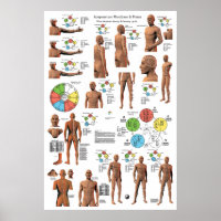Poster Acupuncture Meridian Points and Pathways