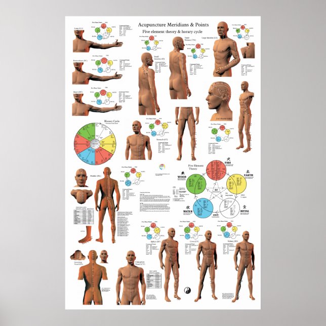 Poster Acupuncture Meridian Points and Pathways (Devant)