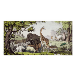 Poster Adam nomme les créatures