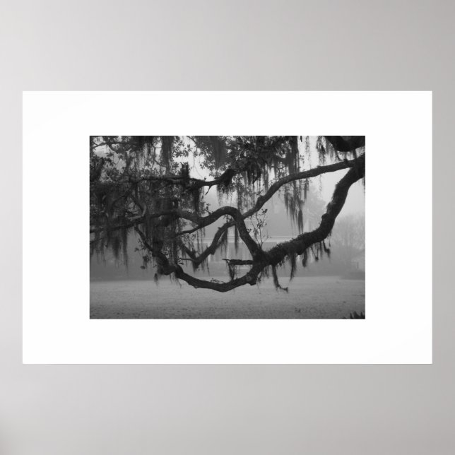 Poster Addis House (Devant)