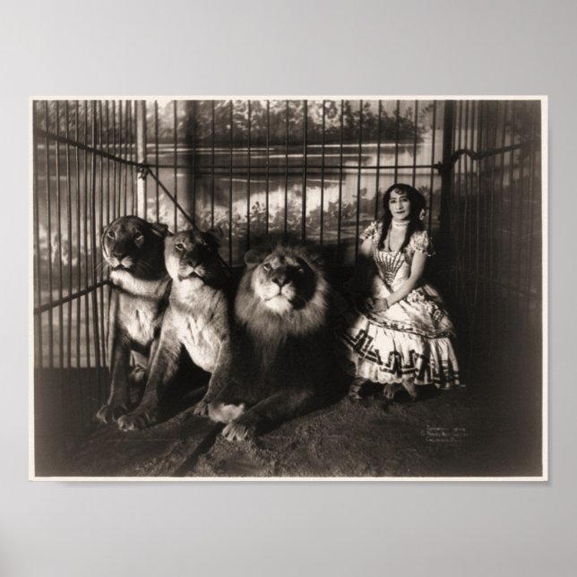 Poster Adgie et les Lions 1899 (Devant)