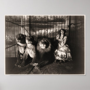 Poster Adgie et les Lions 1899