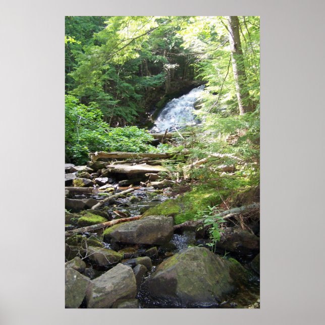 Poster Adler Falls (Devant)