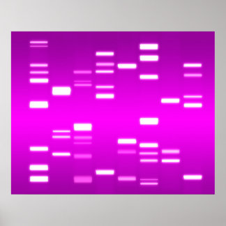 Poster ADN Code génétique Pink Magenta