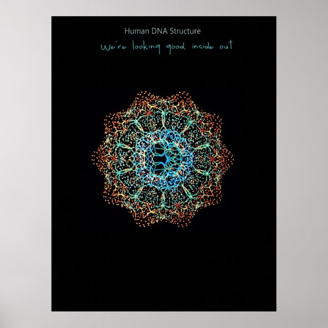 Poster ADN humain (Devant)